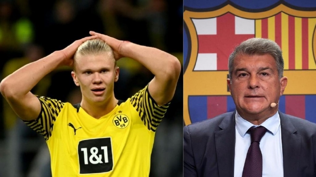 条纹不同 条纹不同